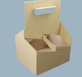 Carried Beverage Carton