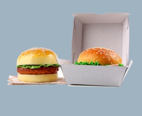 Take Out Hamburger Box